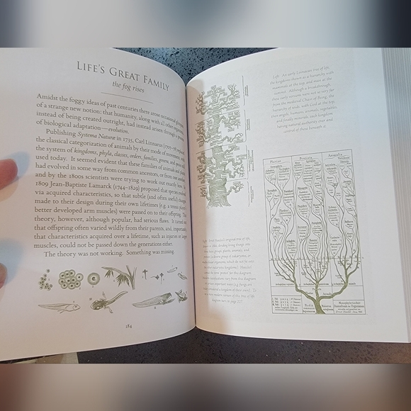 SCIENCIA (Mathematics, Phisics, Chemistry, Biology, and astronomy for all) BOOK - Picture 8 of 8